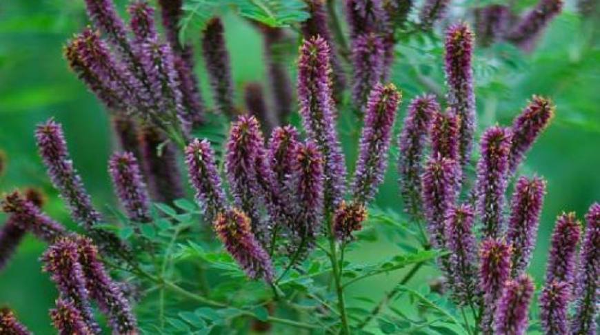 1634370512307425.jpeg 1634370512307425.jpeg