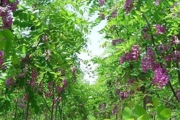 1634371116488354.jpg 1634371116488354.jpg