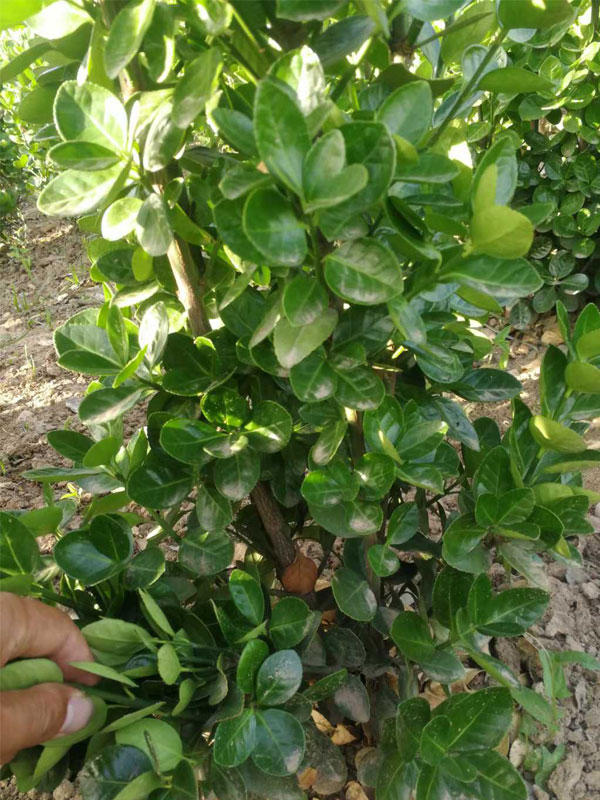 1731656207892831.jpg 13.jpg