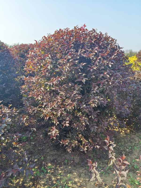 1731907942391043.jpg IMG_20231012_092415.jpg