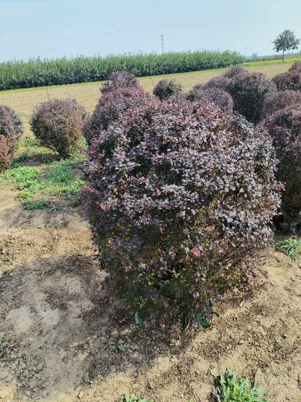 1731908938682107.jpg IMG_20231010_133436.jpg