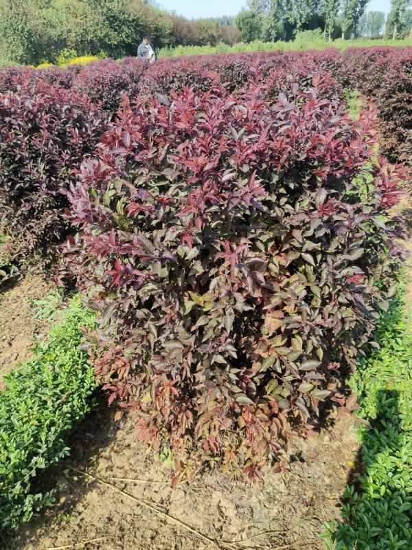 1731909573398045.jpg IMG_20231010_130110.jpg