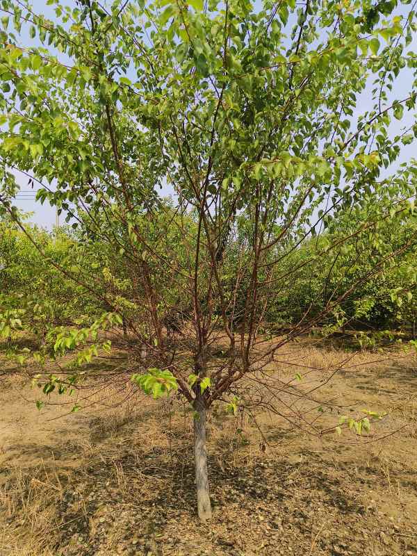 1732253098420581.jpg IMG_20230831_132218.jpg