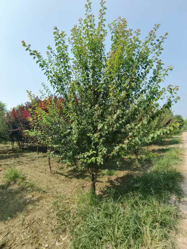 1732254103441913.jpg IMG_20230831_102753.jpg