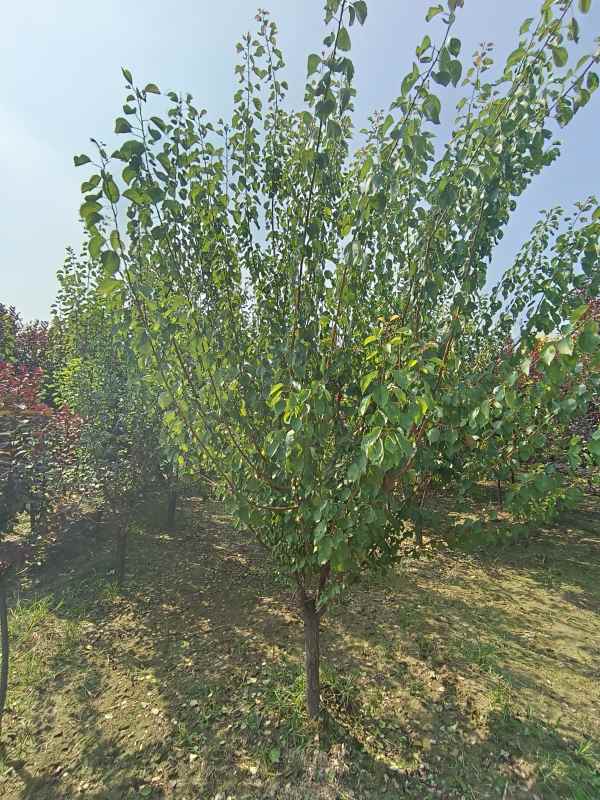 1732254197989897.jpg IMG_20230831_102741.jpg