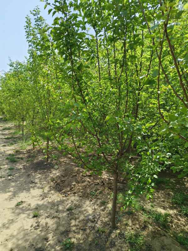 1732254471734210.jpg IMG_20230426_142735.jpg