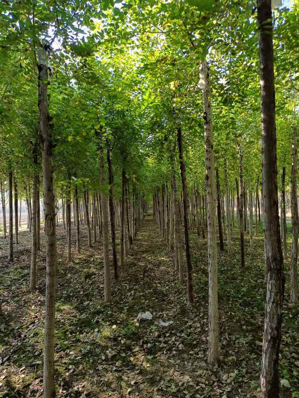 1732415633805219.jpg IMG_20211023_095852.jpg