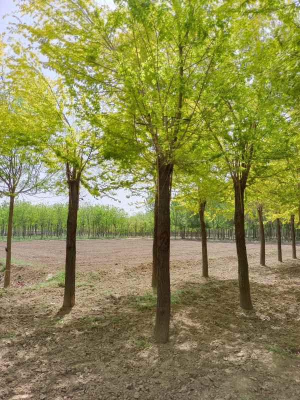 1732415918786208.jpg IMG_20220423_104451.jpg