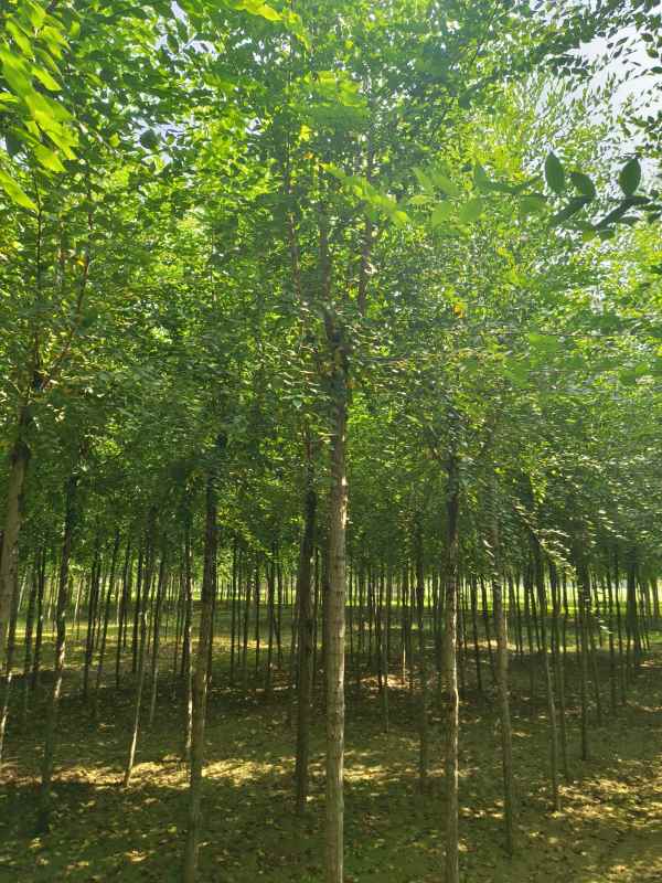 1732688074204742.jpg IMG_20230831_102708.jpg