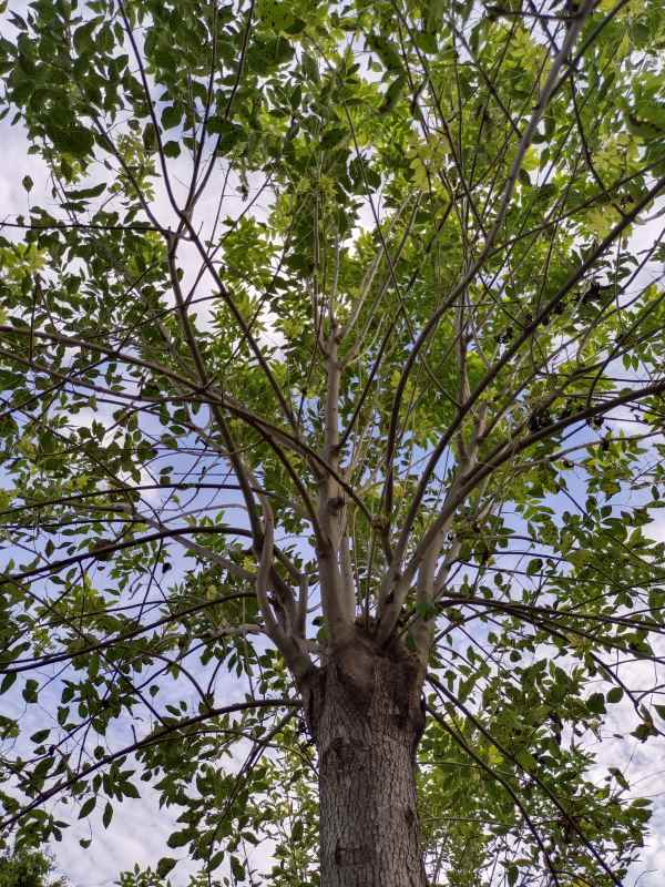 1732946591200946.jpg IMG_20220826_171351.jpg