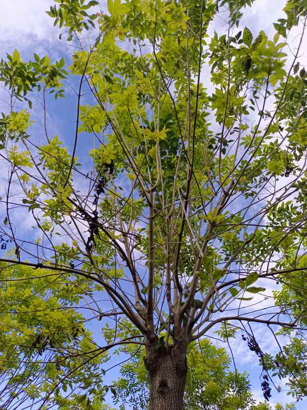 1732946998511448.jpg IMG_20220826_171411.jpg