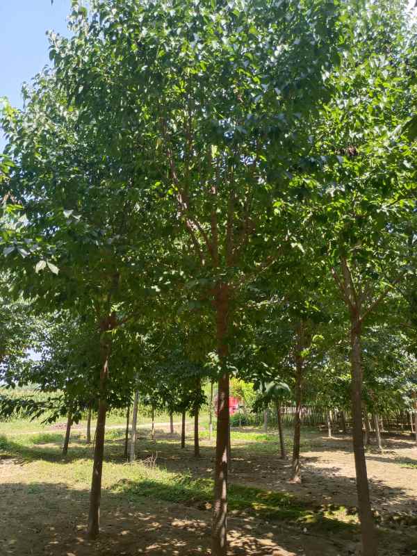 1733038292146259.jpg IMG_20220902_124552.jpg