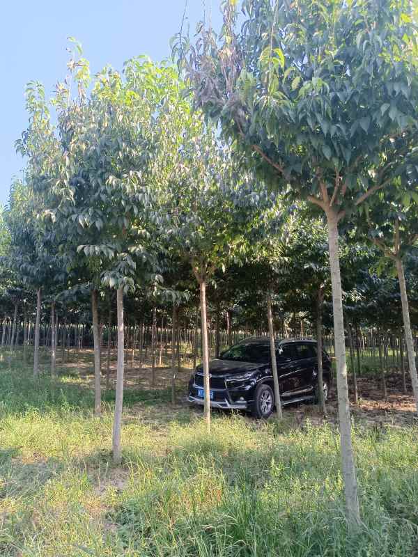 1733038493289687.jpg IMG_20220916_152440.jpg