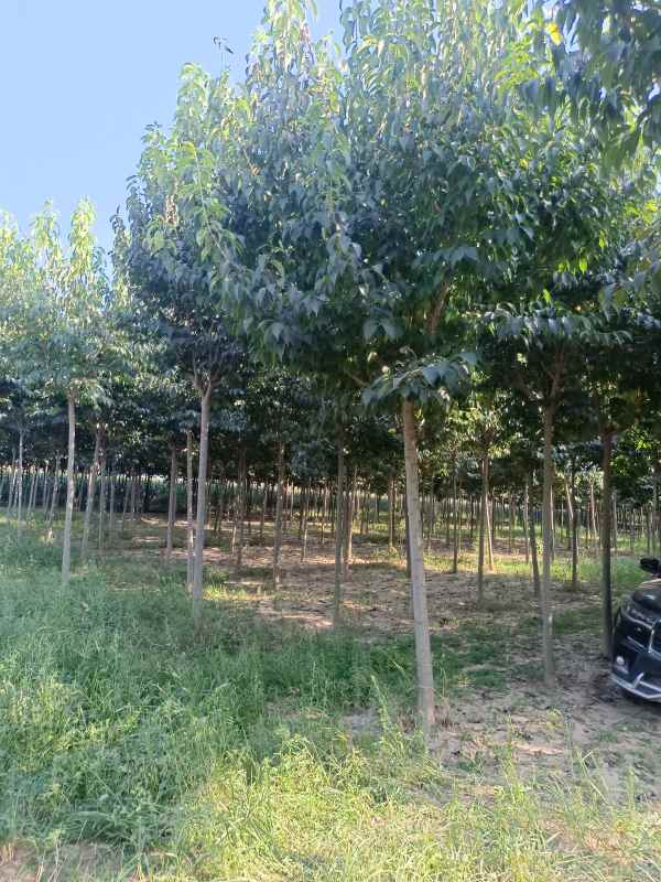 1733038564594775.jpg IMG_20220916_152448.jpg