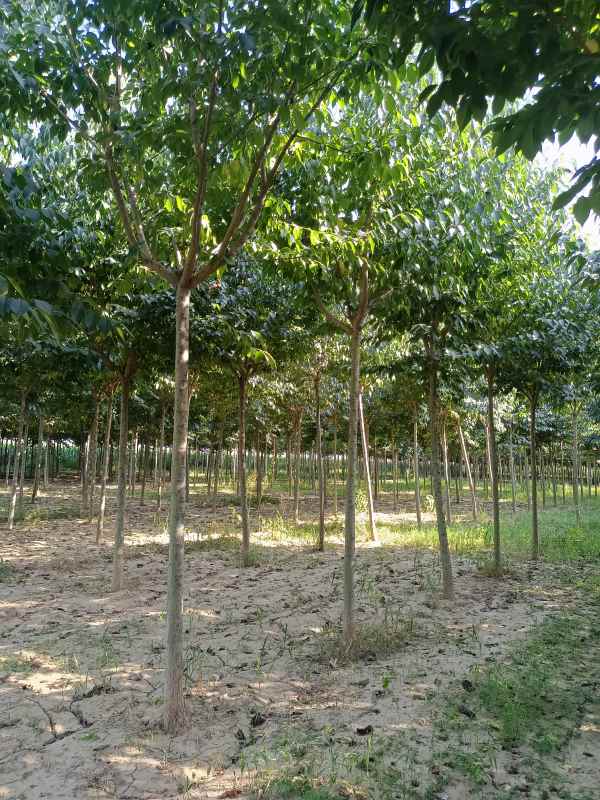 1733038724507519.jpg IMG_20220916_152456.jpg