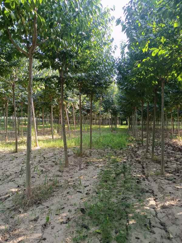 1733038804609216.jpg IMG_20220916_152458.jpg