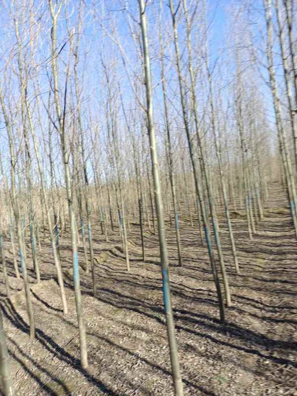 1733207035591290.jpg IMG_20211122_135214_1.jpg