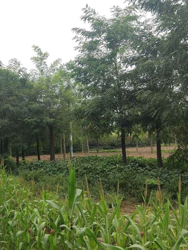 1733554082590022.jpg IMG_20210914_162729.jpg